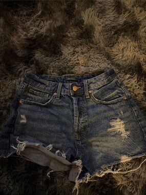 Wild fable Distressed Denim Jean Shorts - Blue